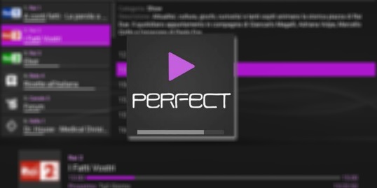 Perfect Player v1.6